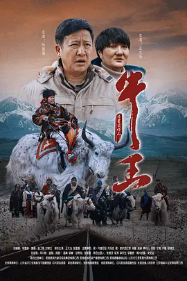 天天干天天插伊人网