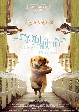 亚洲精品欧美日韩