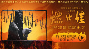 av不卡在线播放