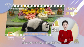 婷婷六月丁香